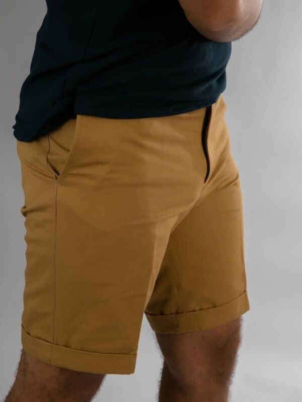 Carton Brown Chinos Shorts